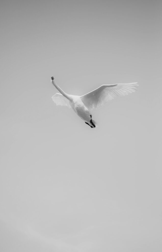 Gallery Air Freedom Img 1 660x1024